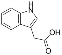 Công thức cấu tạo của Potassium 3-Indole acetic acid