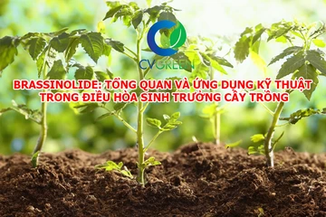 Brassinolide: Tổng quan và ứng dụng kỹ thuật trong điều hòa sinh trưởng cây trồng