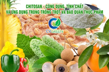 Chitosan - Công dụng, tính chất và ứng dụng trong trồng trọt và bảo quản thực phẩm